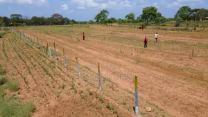 50×100 Plots for Sale in Matuu