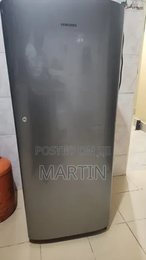 Samsung Fridge