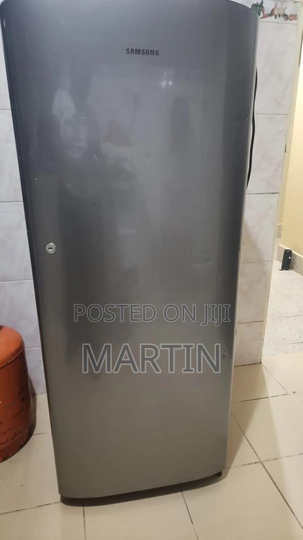 Samsung Fridge - main view