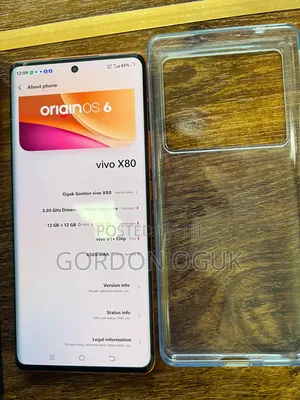 Vivo X80 256 GB Orange