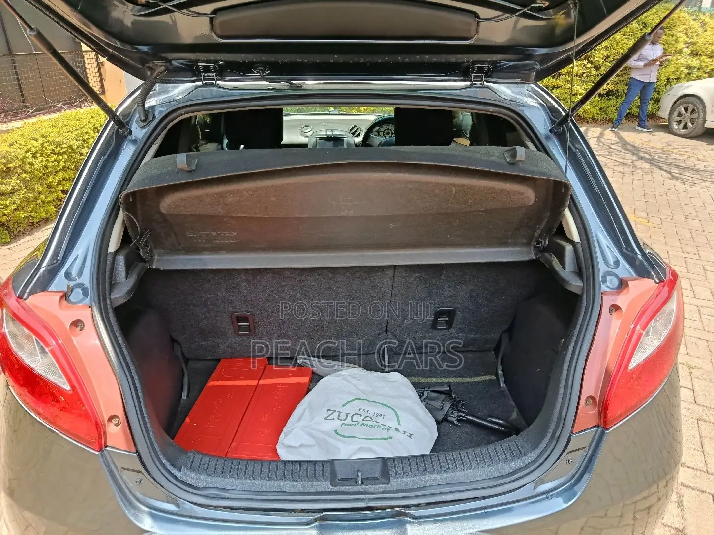 Mazda Demio 2010 Gray