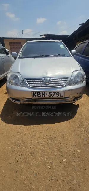Toyota Corolla RunX 2003 Silver