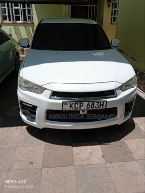 Mitsubishi Outlander 2010 White