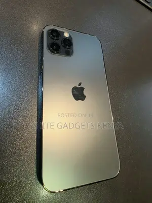 Apple iPhone 13 Pro 256 GB Gray