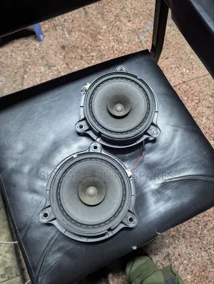 Nissan Door Speakers