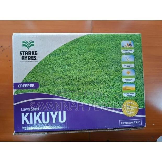Starke Ayres KIKUYU GRASS SEEDS - 500 Grams