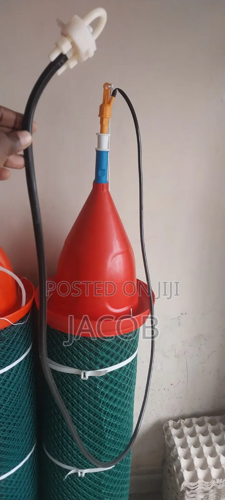 Malaysia Bell Drinkers