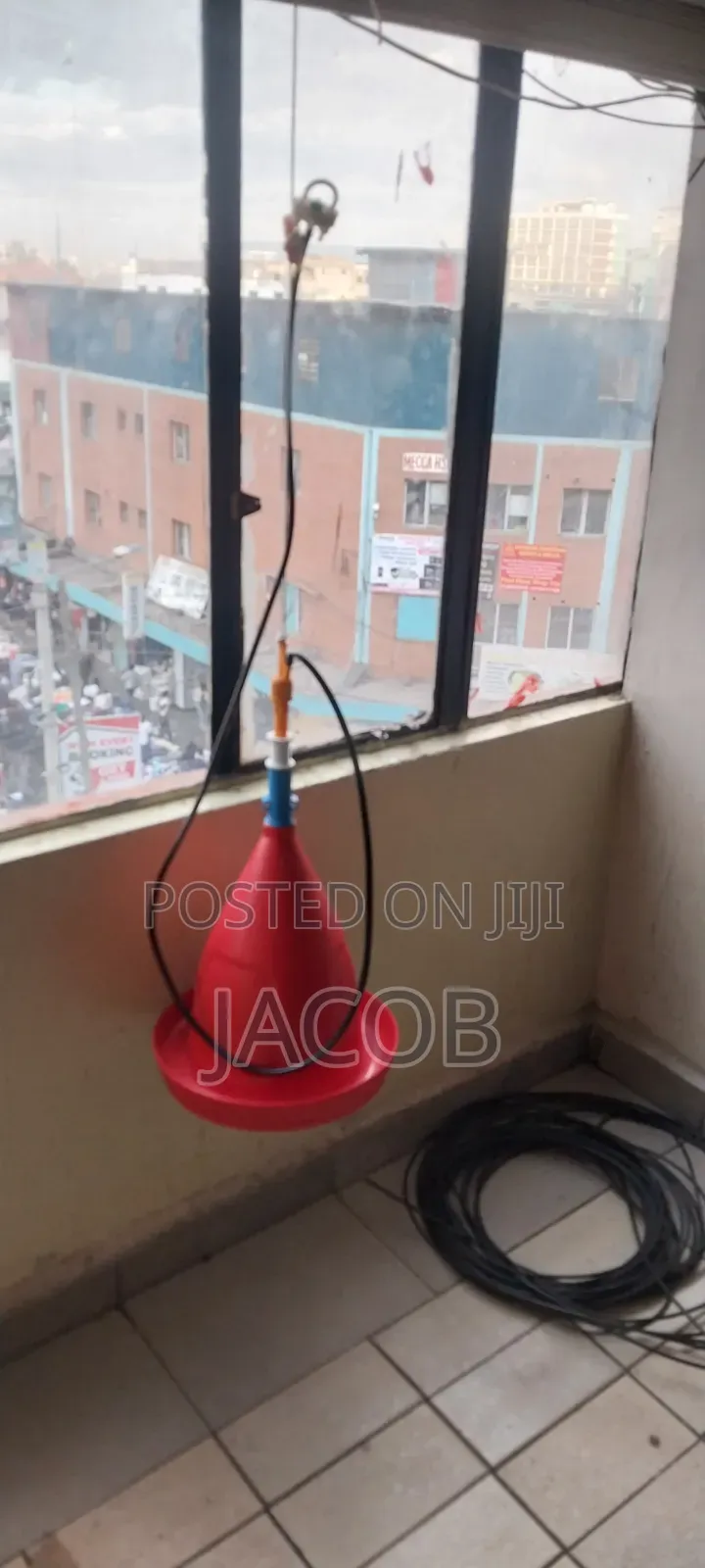 Malaysia Bell Drinkers