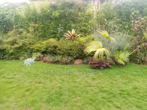 Professional Lawn Mowing/Care/ Gardener