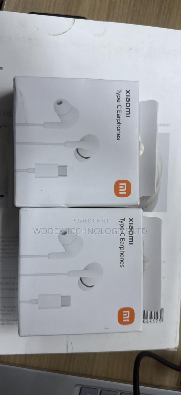 Xiaomi Type-C Earphones - main view
