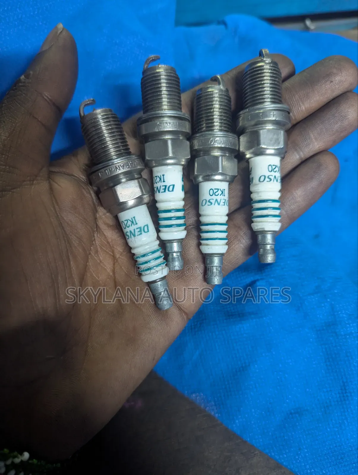 Probox Spark Plugs