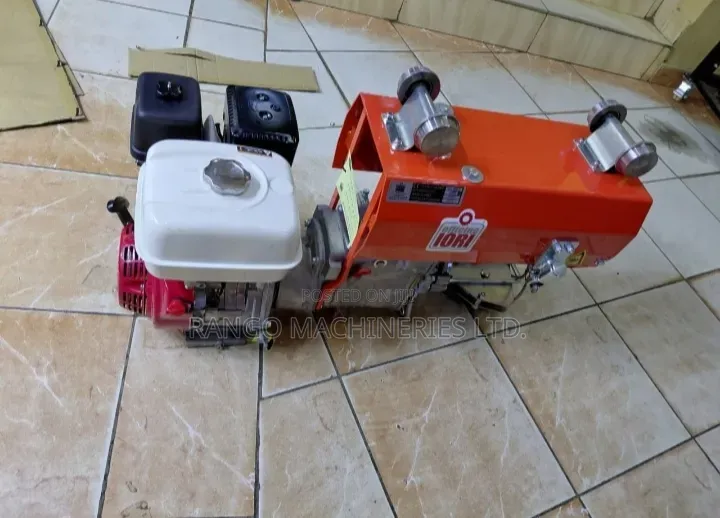 Gantry/Winch Hoist