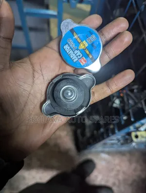 Toyota Radiator Cup Special