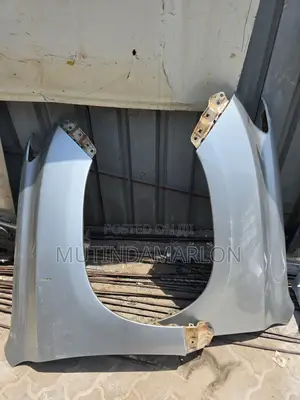 Fenders Toyota Prado J 150 (2014-2016)