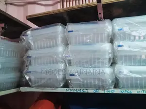 Clear Plastic Disposable Food Punnets With Lids
