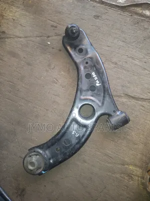 Passo Control Arm