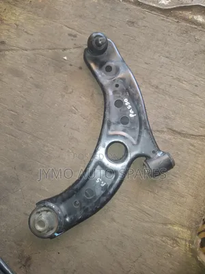 Passo Control Arm