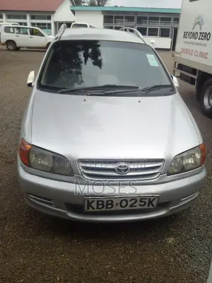 Toyota Ipsum 2001 Gray