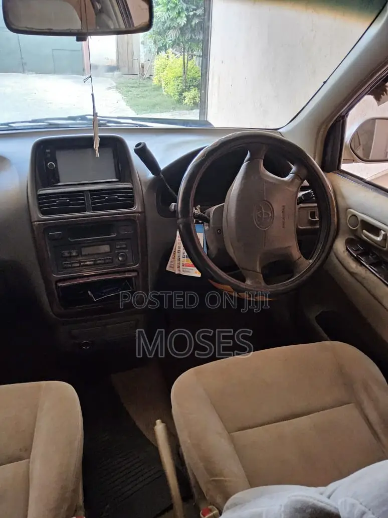 Toyota Ipsum 2001 Gray