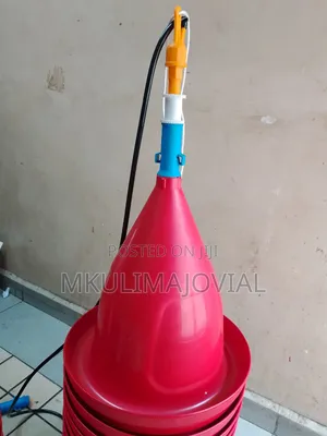 Malaysian Bell Drinkers Pack(10pcs)