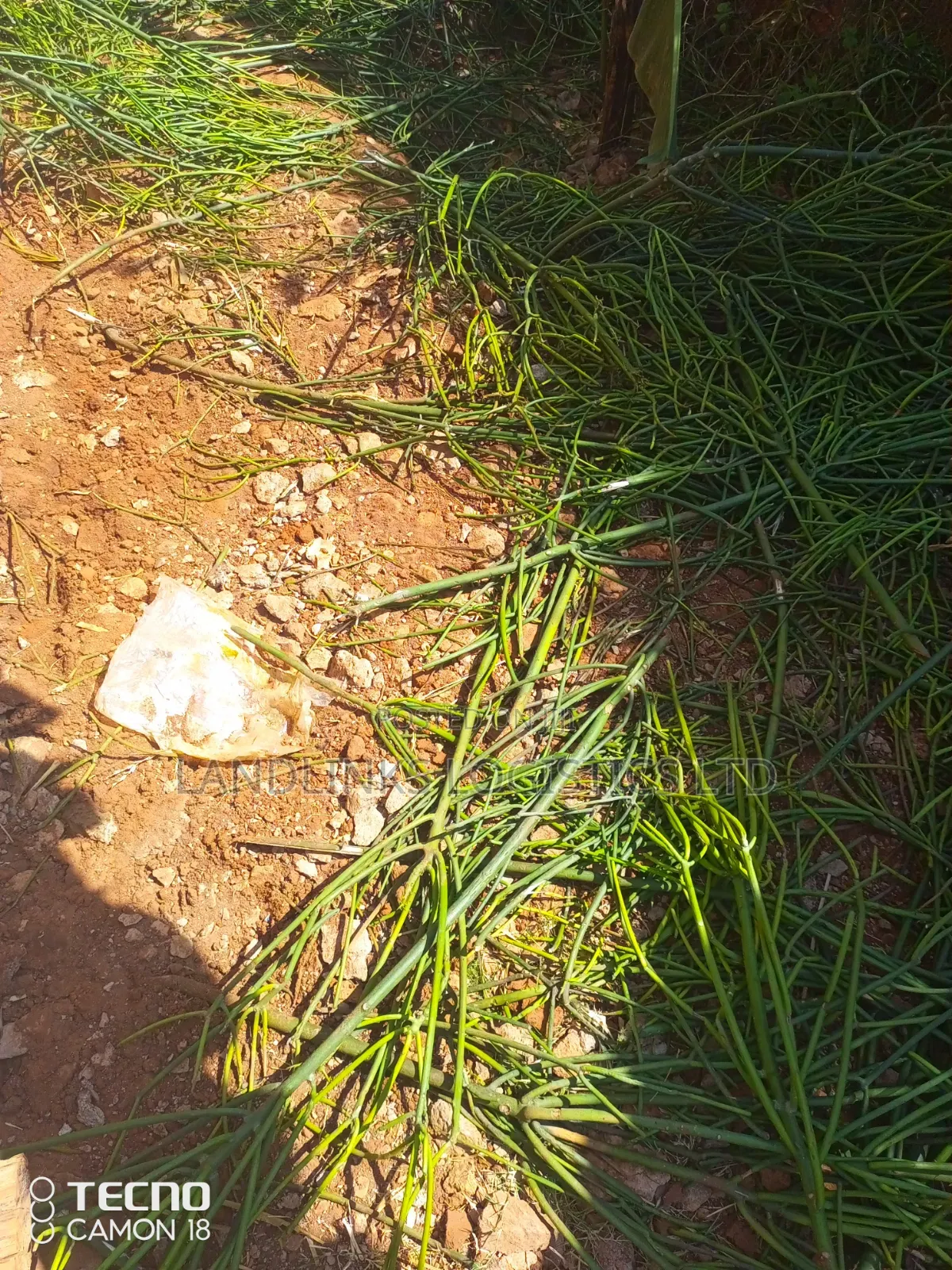 Kitui County Kasiku Location 70 Acres at 85k Per Acre