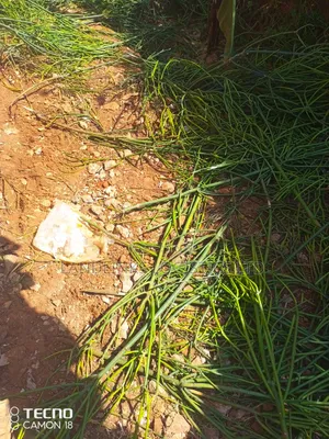 Kitui County Kasiku Location 70 Acres at 85k Per Acre