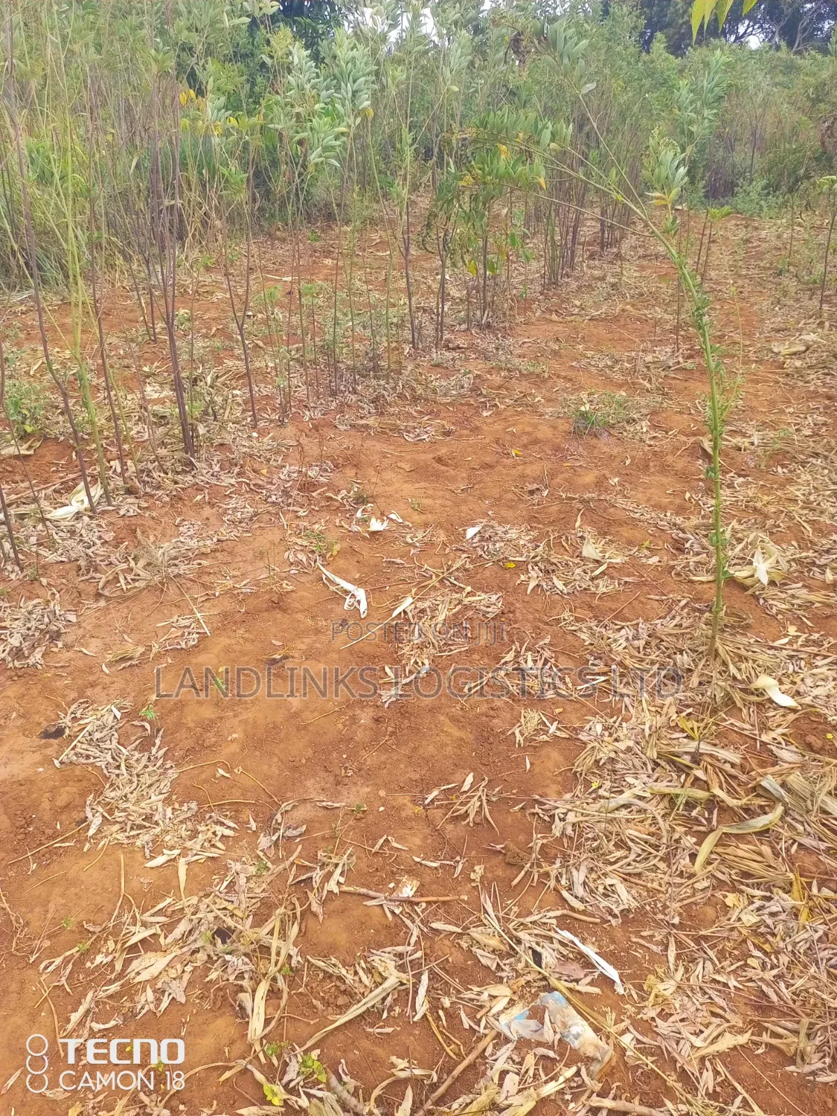 Mutumo Kitui  30 Acres Farming