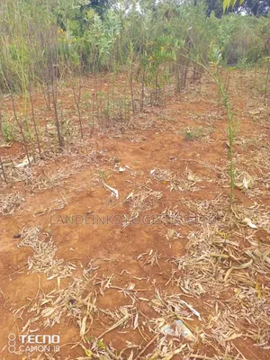 Mutumo Kitui  30 Acres Farming