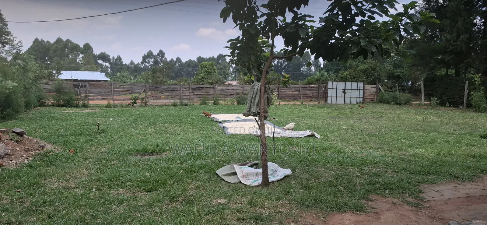 3bdrm House in Matulo for sale