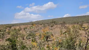 176 Acres Land for Sale In