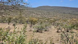 176 Acres Land for Sale In