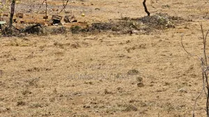 176 Acres Land for Sale In