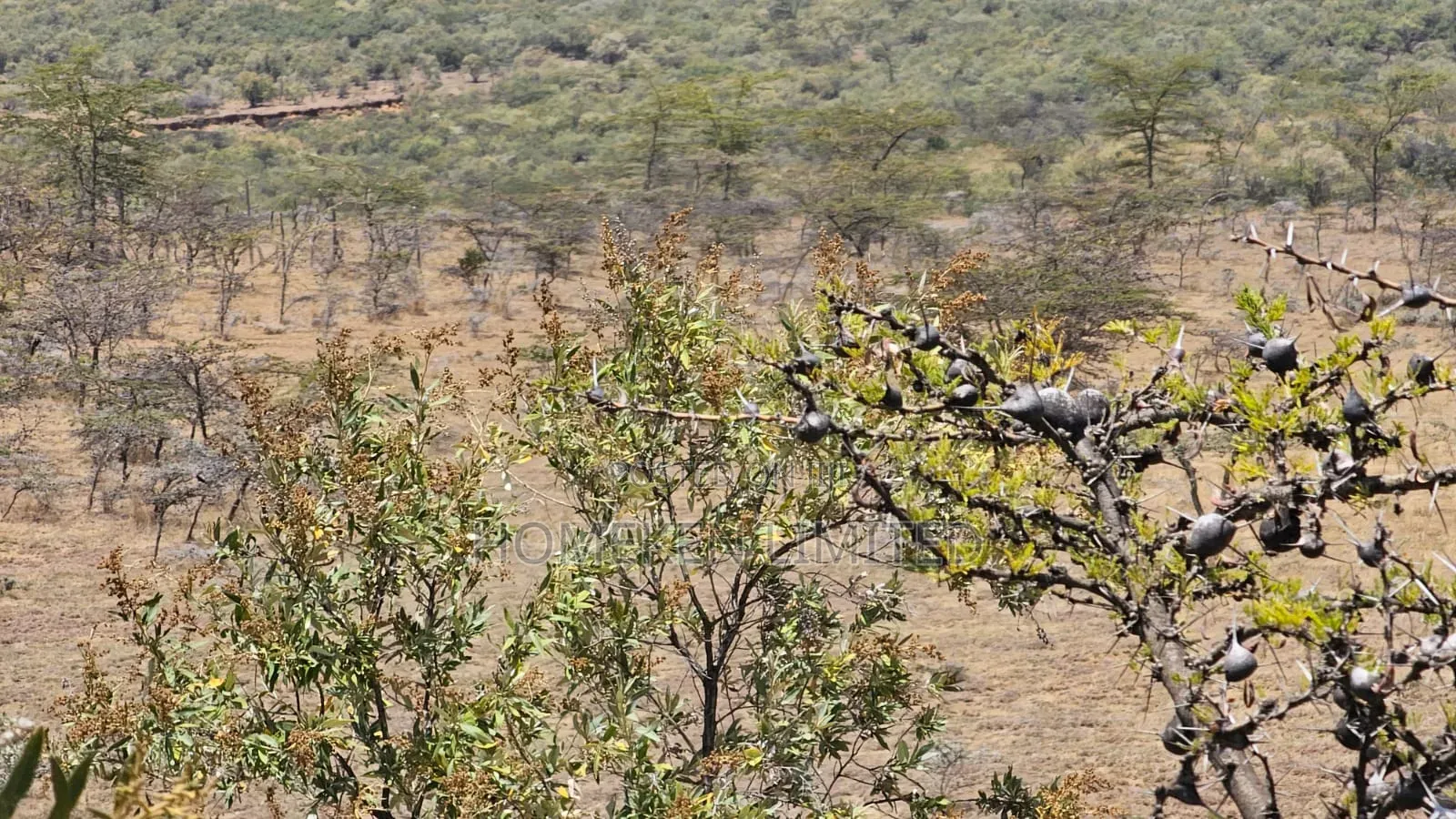 176 Acres Land for Sale In