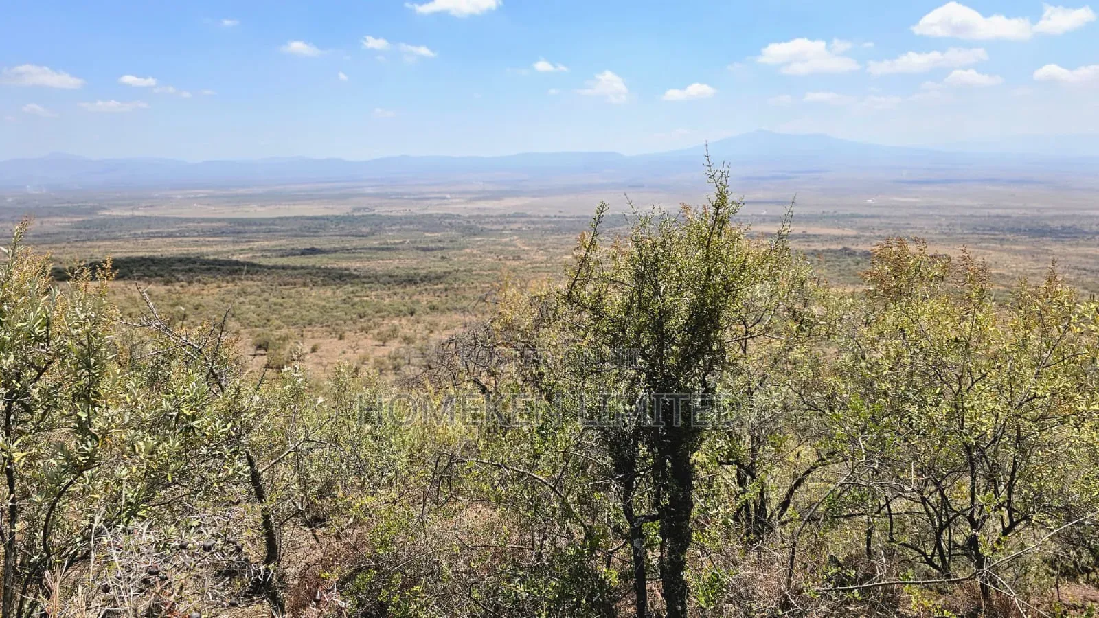 176 Acres Land for Sale In