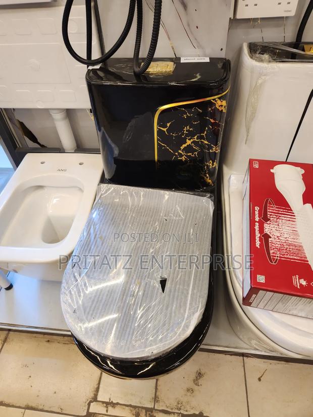 Black Toilet - main view