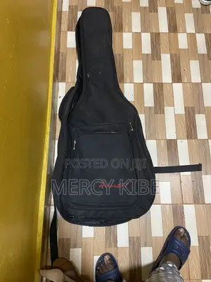 Guitar + Bag