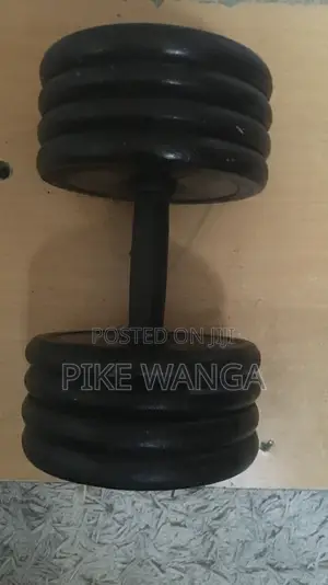 30 Kg Dumbbell