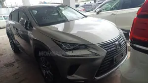 Lexus RX 2019 Gray
