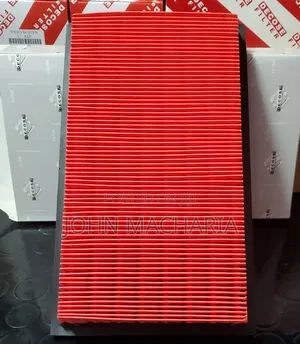 Air Filter/Cleaner for Nissan Tiida, Note, Wingroad and Nissan March