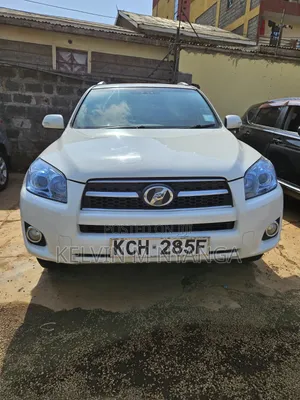 Toyota RAV4 4x4 2009 Silver