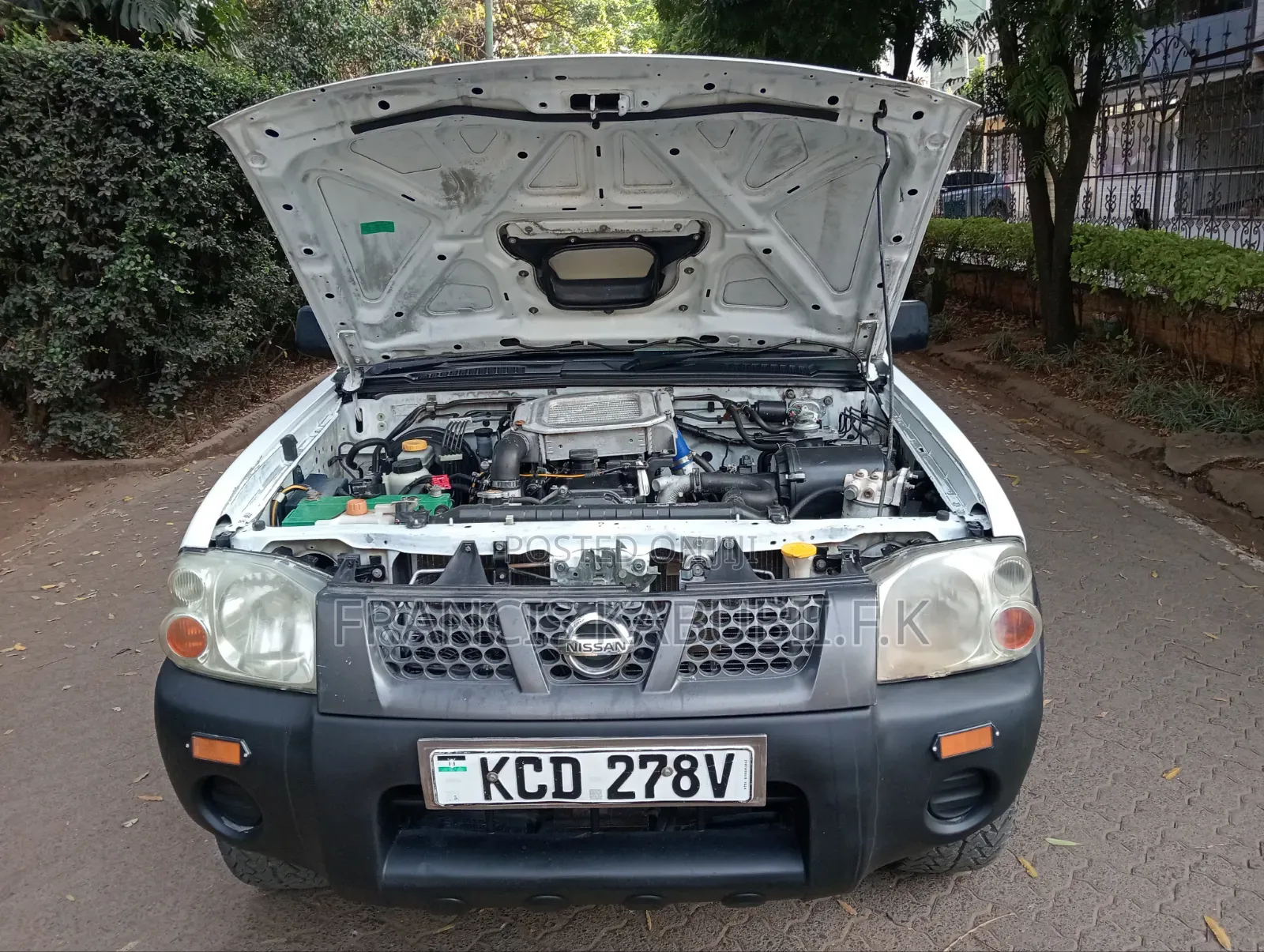 Nissan Hardbody 2015 White