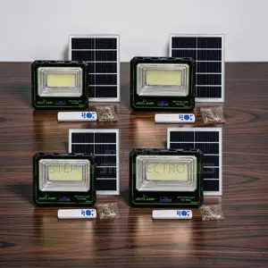 Direct Factory Prices 100W,200W,300W,1000W LED Solar Floodlights