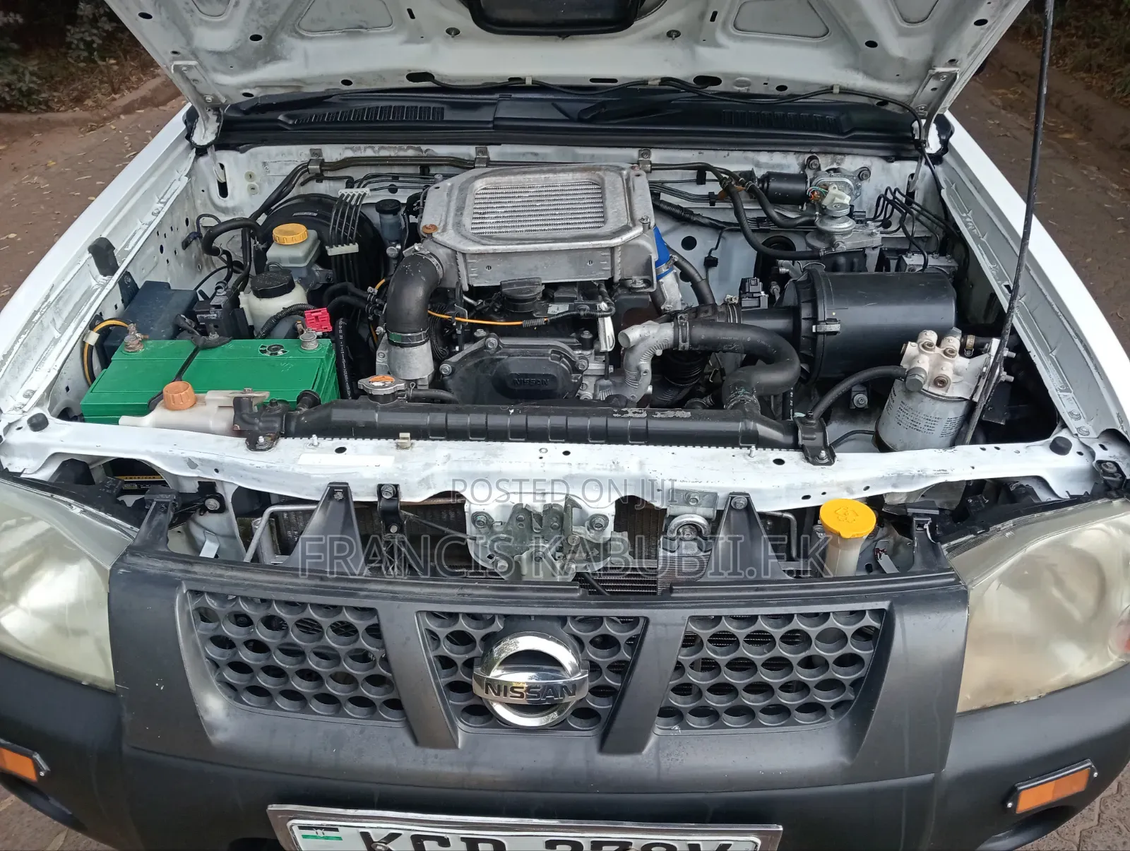 Nissan Hardbody 2015 White