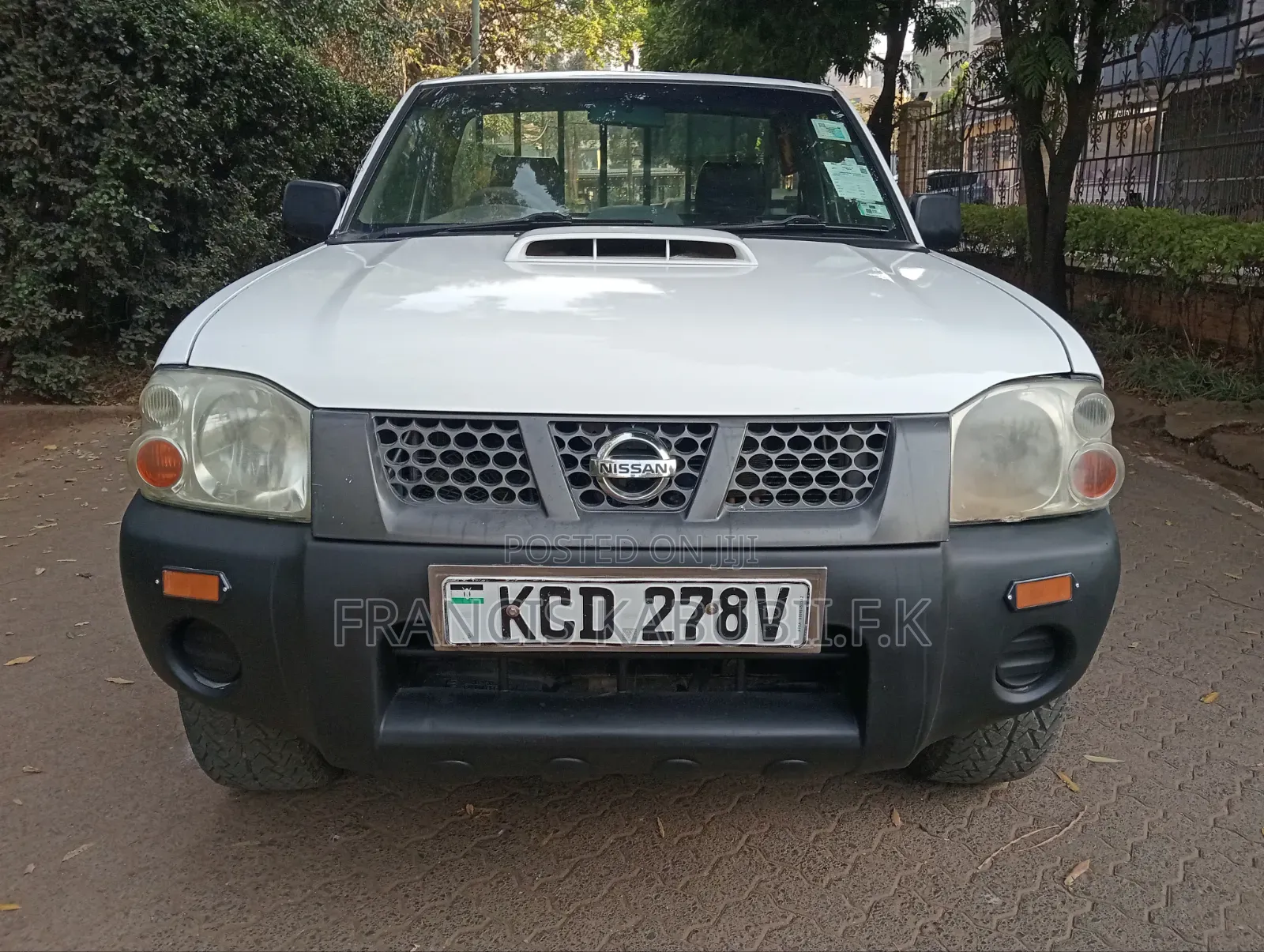 Nissan Hardbody 2015 White