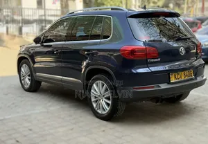 Volkswagen Tiguan 2014 Blue