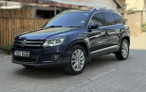 Volkswagen Tiguan 2014 Blue