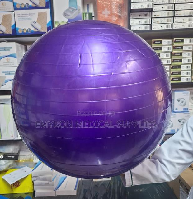 Yoga Ball/Exercise Ball - main view