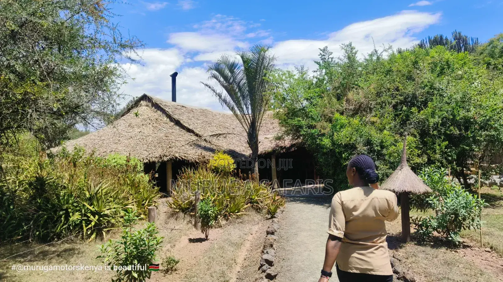 Masai Mara Safaris