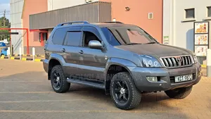 Toyota Land Cruiser 2008 Gray
