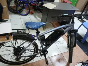 Phoenix Electric Mountain Bicycle